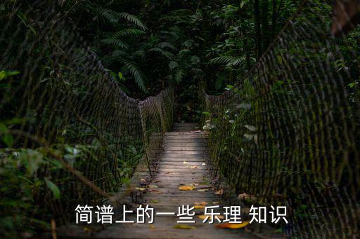  簡(jiǎn)譜上的一些 樂理 知識(shí)