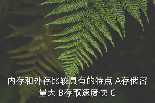 內存比外存，15計算機內存比外存  A便宜 B存儲容量大 C存取速度快