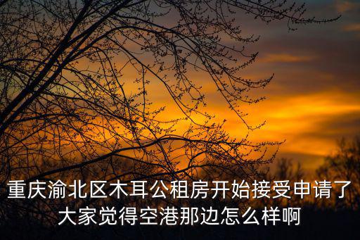 重慶渝北區(qū)木耳公租房開始接受申請了大家覺得空港那邊怎么樣啊