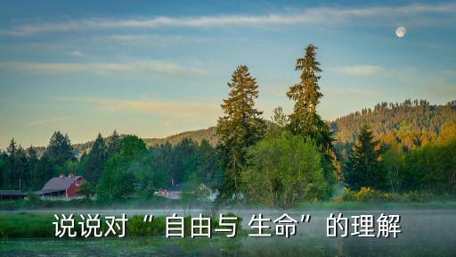 說說對“ 自由與 生命”的理解