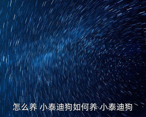 小泰迪,飼養(yǎng)方法注意事項(xiàng)小泰迪成長歷程