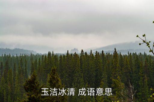 玉潔冰清 成語(yǔ)意思