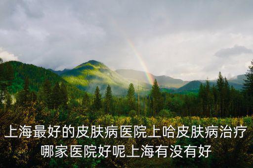 上海最好的皮膚病醫院上哈皮膚病治療哪家醫院好呢上海有沒有好