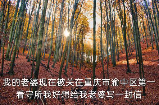 我的老婆現(xiàn)在被關(guān)在重慶市渝中區(qū)第一看守所我好想給我老婆寫一封信