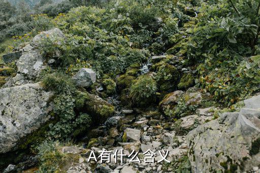 A有什么含義