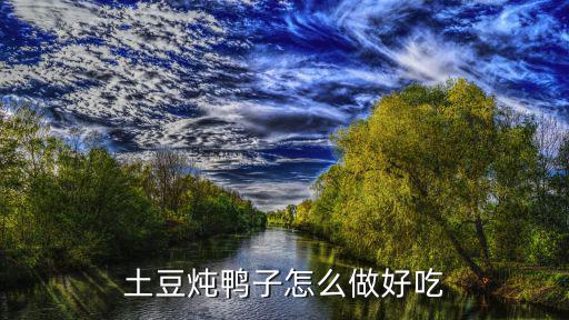 鴨肉燉土豆，土豆燉鴨肉