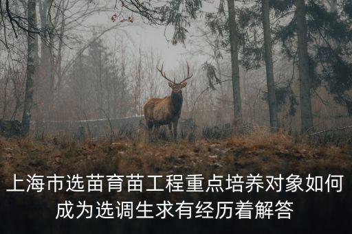 上海選調(diào)生遴選，上海市選苗育苗工程重點(diǎn)培養(yǎng)對(duì)象如何成為選調(diào)生求有經(jīng)歷著解答