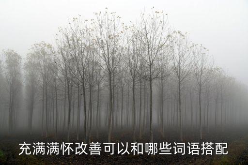 充滿滿懷改善可以和哪些詞語搭配