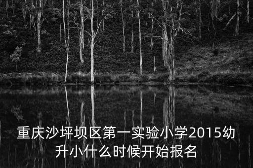 重慶沙坪壩區(qū)第一實驗小學(xué)2015幼升小什么時候開始報名