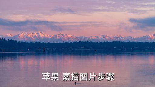  蘋果 素描圖片步驟