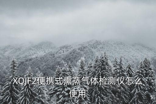 XQJF2便攜式熏蒸氣體檢測儀怎么使用