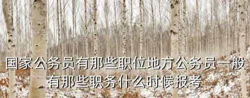 國家公務員有那些職位地方公務員一般有那些職務什么時候報考