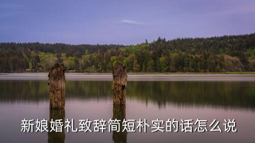  新娘婚禮致辭簡短樸實的話怎么說