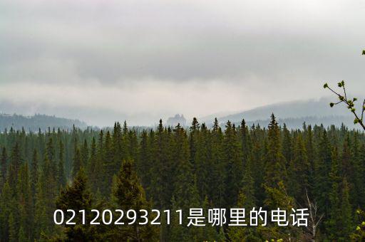 02120293211是哪里的電話