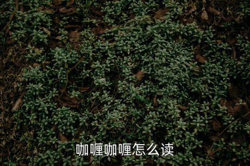 咖喱咖喱怎么讀