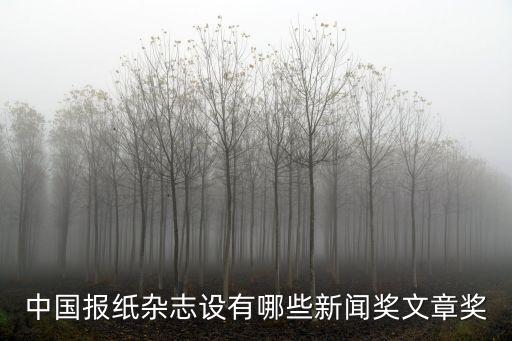 中國報紙雜志設有哪些新聞獎文章獎