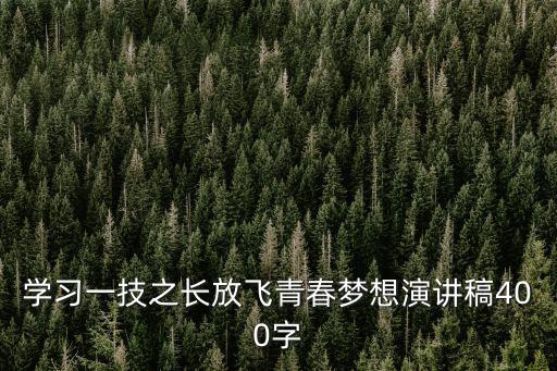 學習一技之長放飛青春夢想演講稿400字