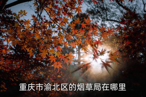 重慶市渝北區的煙草局在哪里