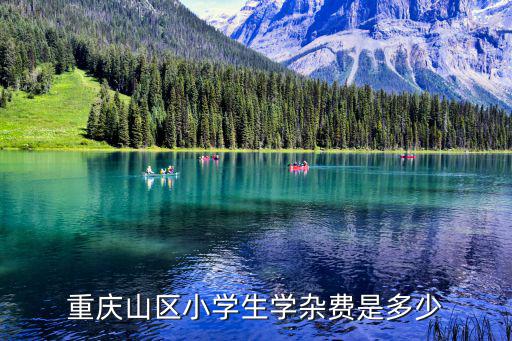 重慶山區小學生學雜費是多少