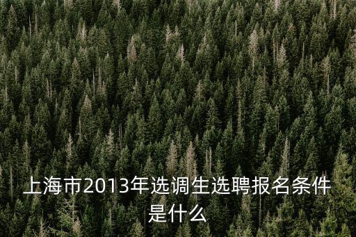 上海遴選公告，上海市2013年大學生村官選聘公告報名入口職位表下載