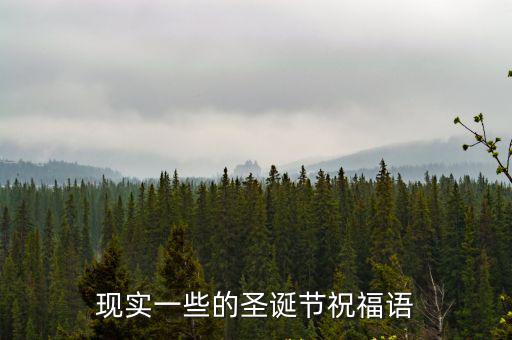 圣誕節文案，現實一些的圣誕節祝福語