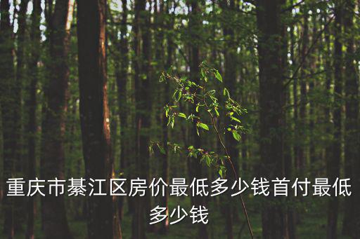 重慶市綦江區房價最低多少錢首付最低多少錢