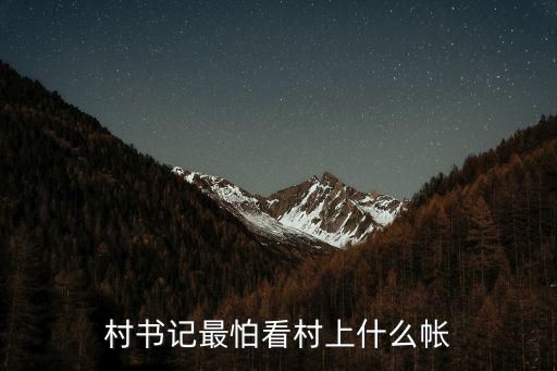 村書記最怕看村上什么帳