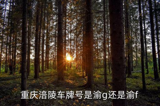 重慶涪陵車牌號是渝g還是渝f