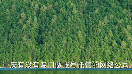 重慶有沒有專門做賬號托管的網絡公司
