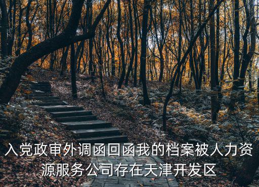 政審外調函，入黨政審外調函回函我的檔案被人力資源服務公司存在天津開發區