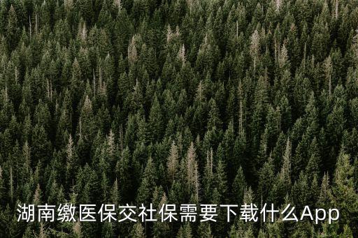 湖南繳醫保交社保需要下載什么App