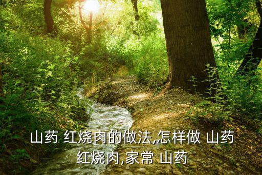  山藥 紅燒肉的做法,怎樣做 山藥 紅燒肉,家常 山藥