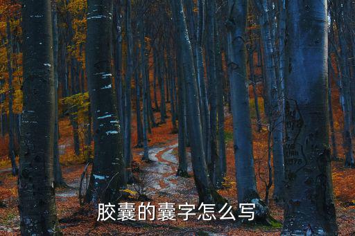 膠囊的囊字怎么寫