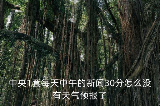中央1套每天中午的新聞30分怎么沒有天氣預報了