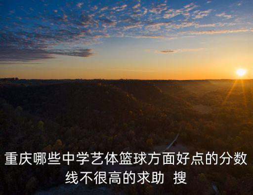 重慶哪些中學藝體籃球方面好點的分數線不很高的求助  搜