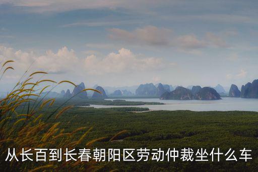 從長百到長春朝陽區勞動仲裁坐什么車