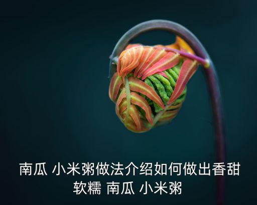  南瓜 小米粥做法介紹如何做出香甜軟糯 南瓜 小米粥