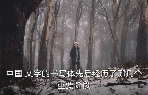 中國(guó)文字的演變順序,我國(guó)目前發(fā)現(xiàn)最早的甲骨文