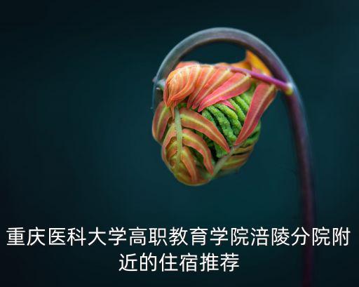 重慶醫科大學高職教育學院涪陵分院附近的住宿推薦
