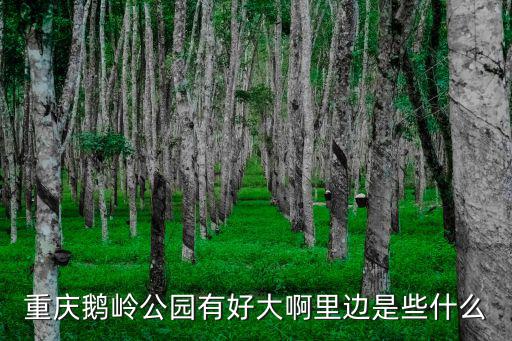 重慶鵝嶺公園有好大啊里邊是些什么