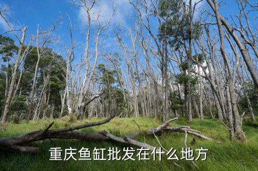 重慶市有什么大型魚缸，重慶什么地方有賣烏龜缸的 有大曬臺那種