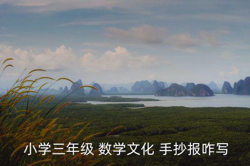  小學三年級 數學文化 手抄報咋寫