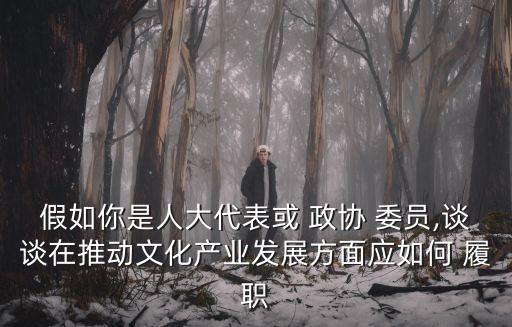 假如你是人大代表或 政協(xié) 委員,談?wù)勗谕苿游幕a(chǎn)業(yè)發(fā)展方面應(yīng)如何 履職