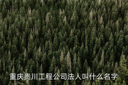 重慶貴川工程公司法人叫什么名字