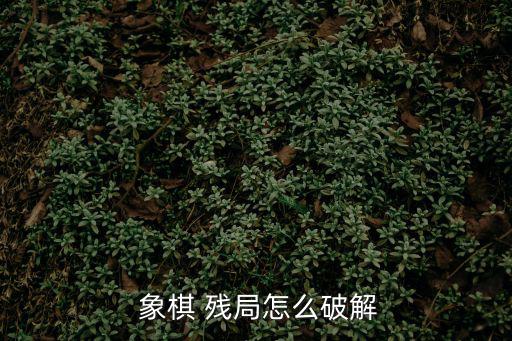 象棋殘局,10象棋新殘局:大車戰(zhàn)士不敵小遠征兩軍