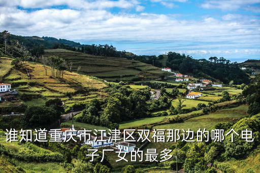 誰(shuí)知道重慶市江津區(qū)雙福那邊的哪個(gè)電子廠女的最多