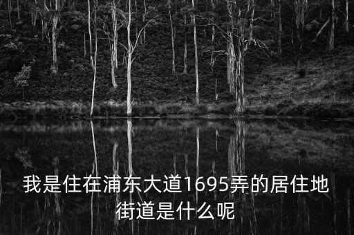 我是住在浦東大道1695弄的居住地街道是什么呢