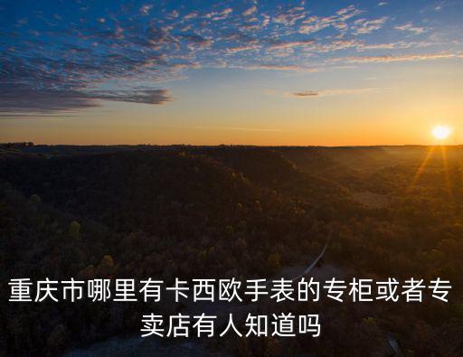 重慶市哪里有卡西歐手表的專柜或者專賣店有人知道嗎