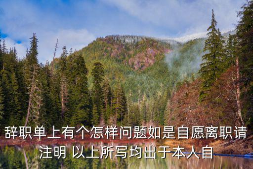 辭職單上有個怎樣問題如是自愿離職請注明 以上所寫均出于本人自