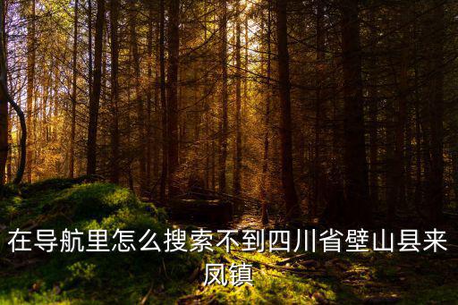 在導航里怎么搜索不到四川省壁山縣來鳳鎮